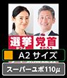 政治活動ポスター A2 ユポ110